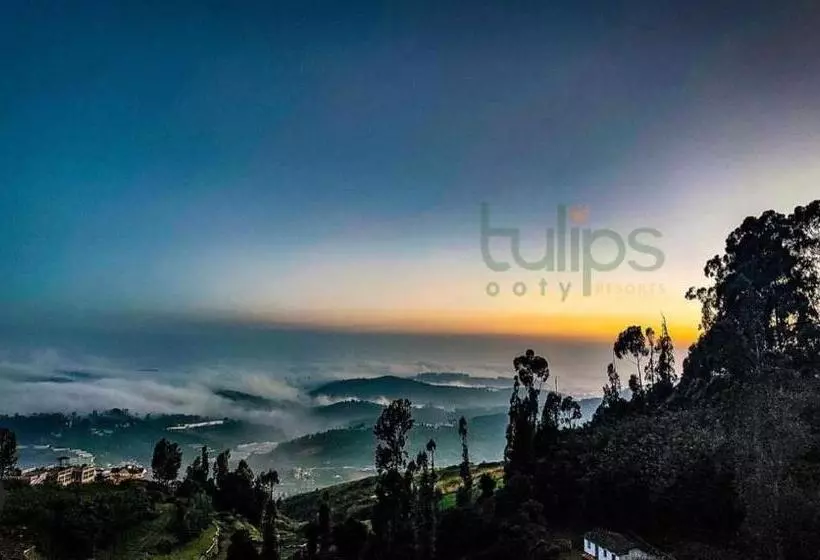 Tulips Village Resorts