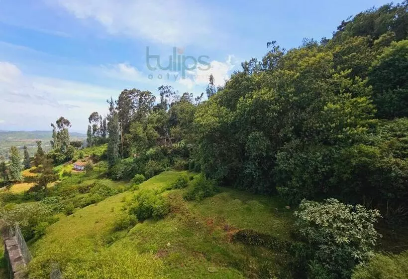 Tulips Village Resorts