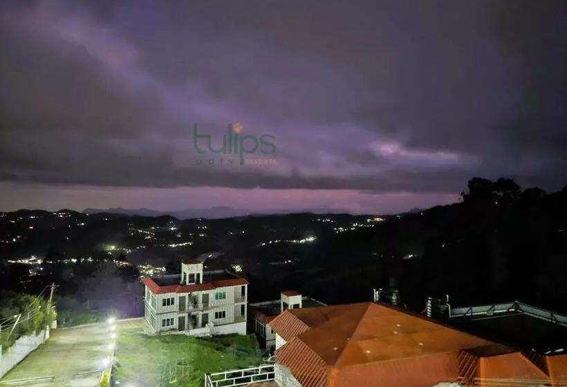 Tulips Village Resorts