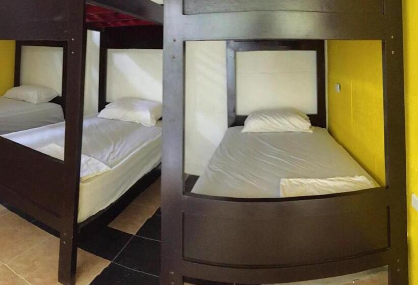 Majatalo Kiwi Montañita