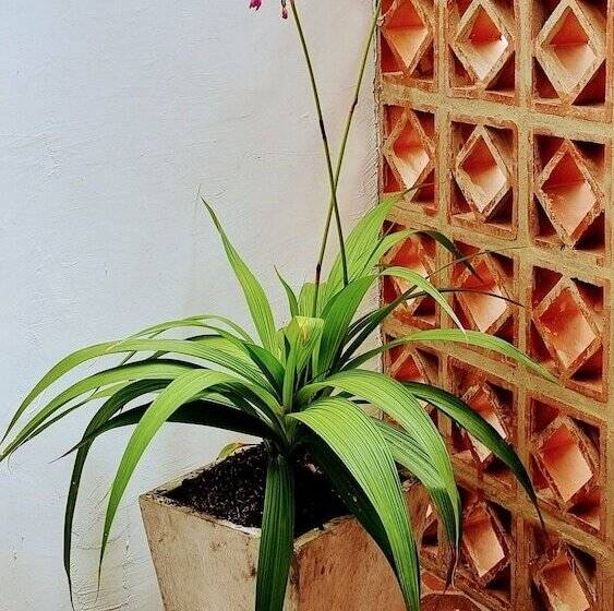 تختخواب و صبحانه Casa Sab   San Fernando