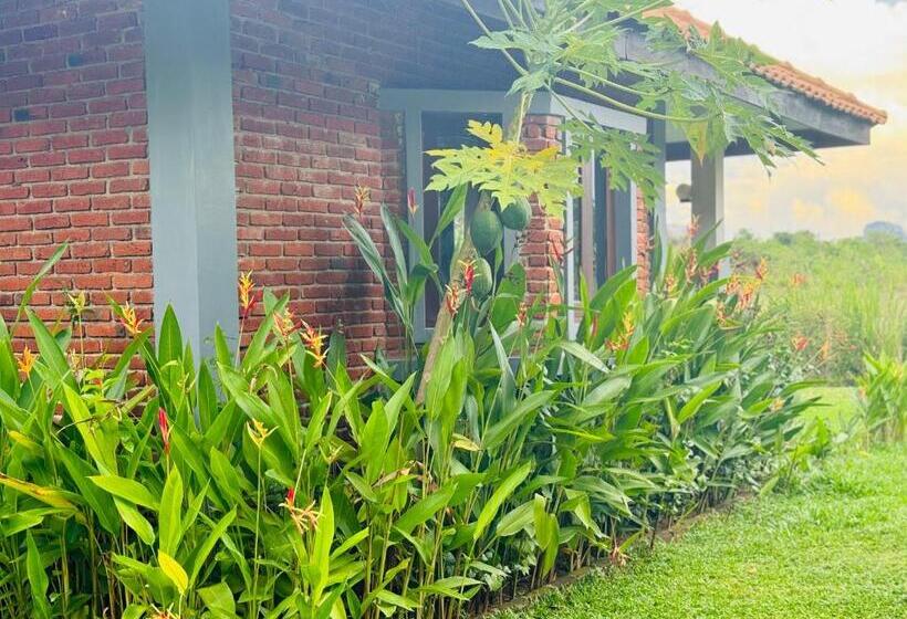 Foresta Resort Sigiriya