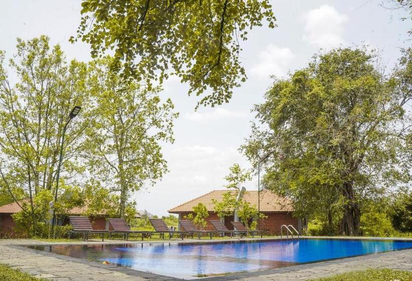 Foresta Resort Sigiriya