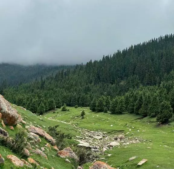 هاستل Sayakat Camp