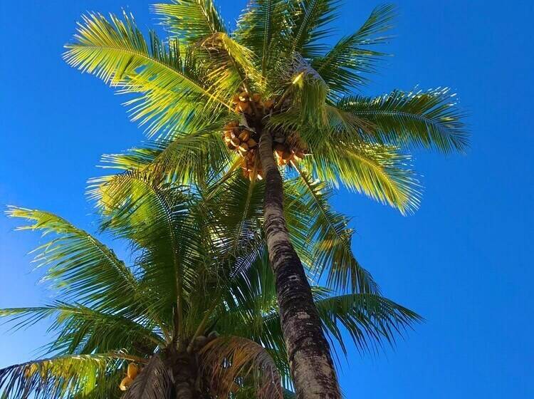 ホテル Puerto Palmeras Tarapoto Resort