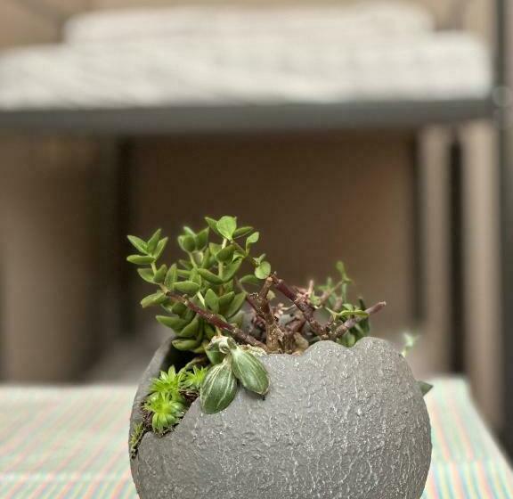 ユースホステル The Kliefs Vilnius Virtual Check In