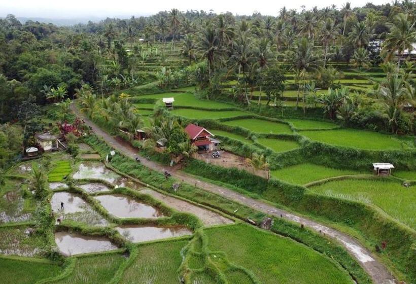 הוסטל Kunang Kunang