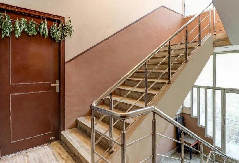 Oyo Hotel City Palace