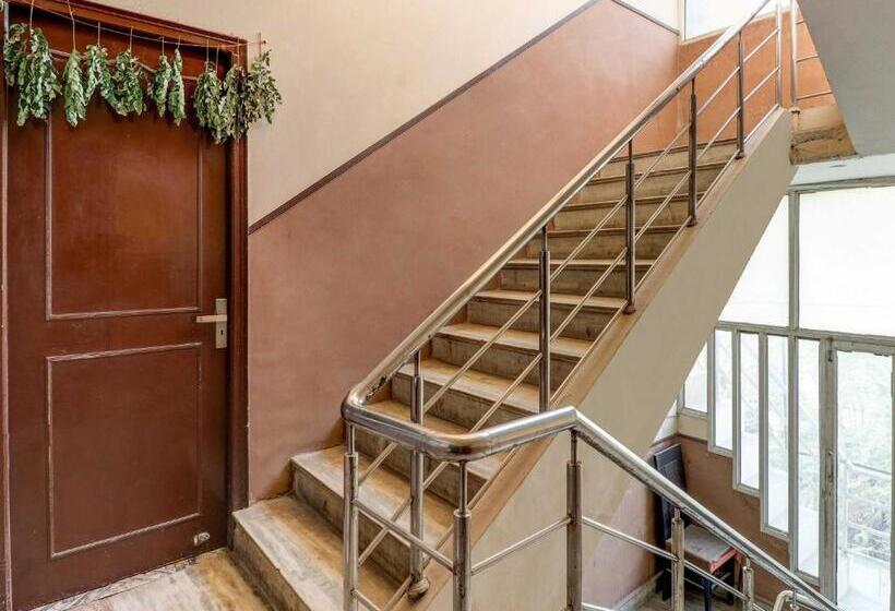 Oyo Hotel City Palace