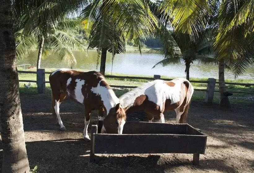 Fazenda Fiore Resort