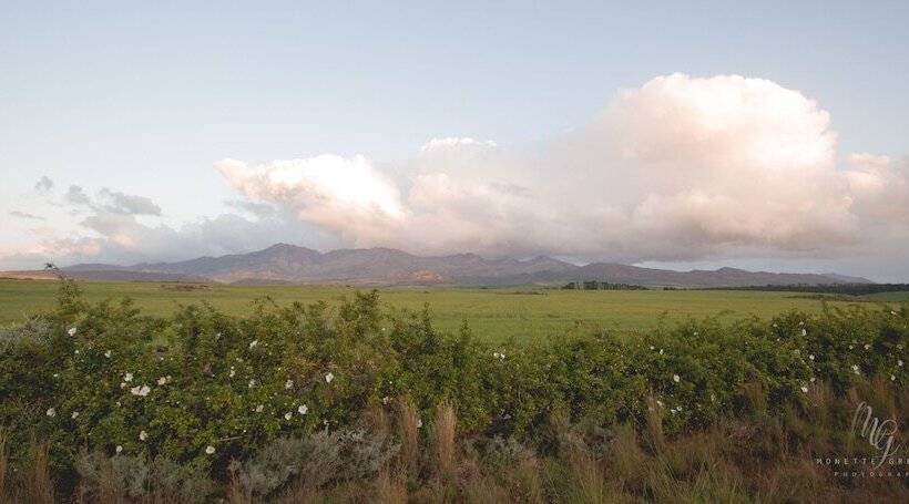 호텔 Endless Vineyards At Wildekrans Wine Estate