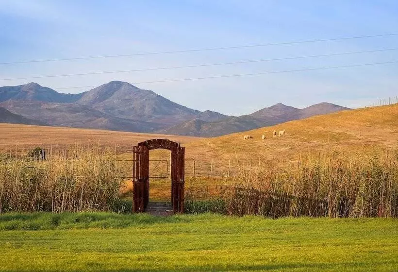 ホテル Endless Vineyards At Wildekrans Wine Estate