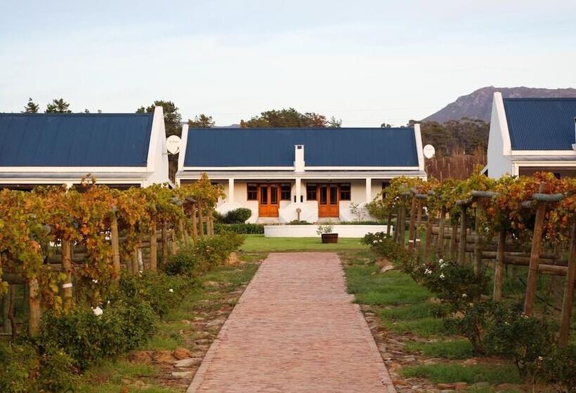 호텔 Endless Vineyards At Wildekrans Wine Estate