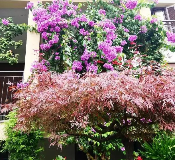 Hotel Fioroni