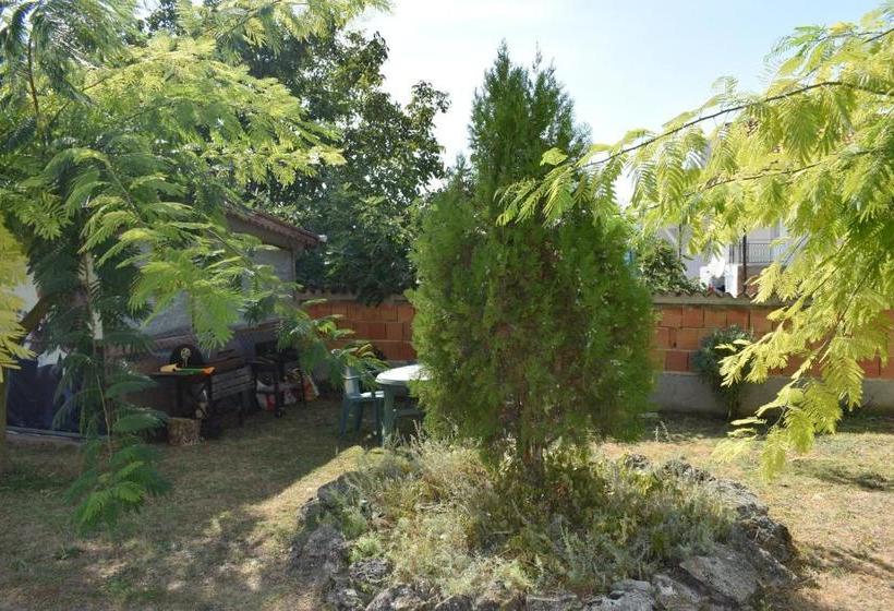 בית מלון כפרי Sunny  Viki Guest House