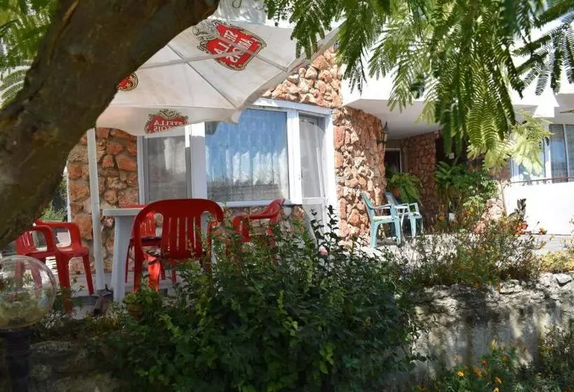 ホテル Sunny Viki Guest House