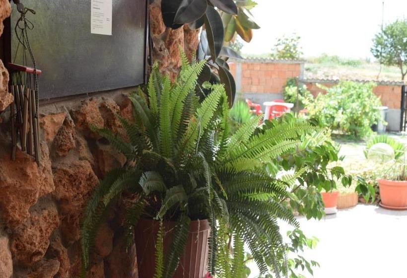 בית מלון כפרי Sunny  Viki Guest House