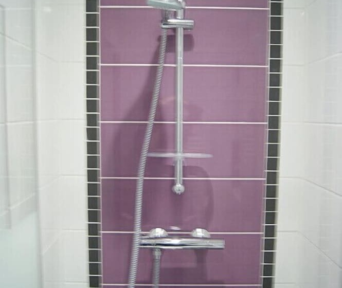 فندق Hôtel Des Vosges