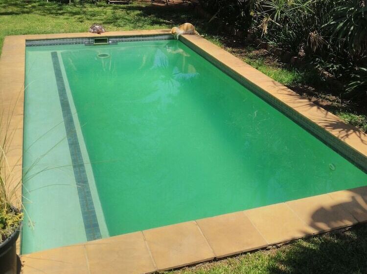 פנסיון Sleepy Gecko Guest House