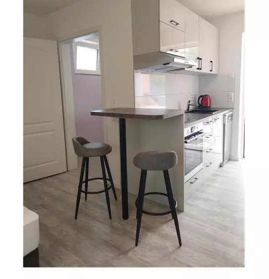 Aamiaismajoitus (B&B) Bodensee Sunshine Zimmer & Apts