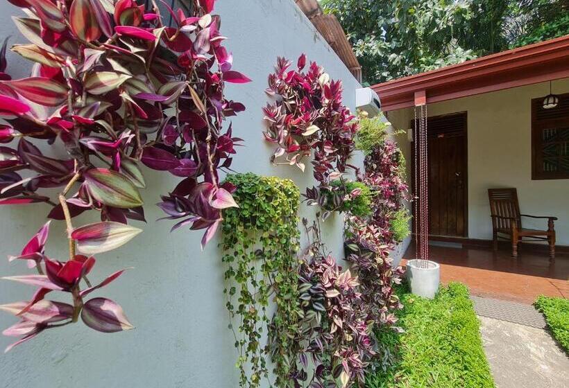 酒店 Crosscountry Inn By Thurings