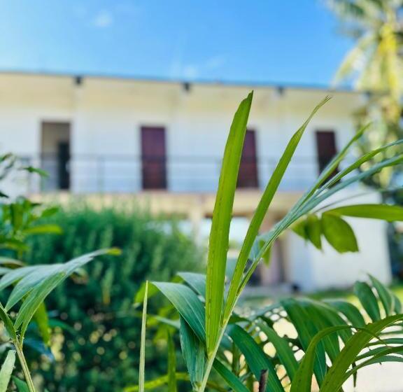 פנסיון Hidden Paradise Stay Panglao