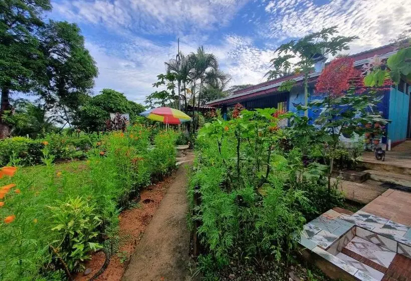 Aamiaismajoitus (B&B) Cabina Aventuras Corcovado Gittana Tours