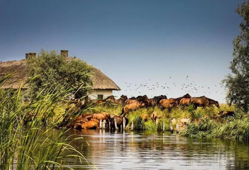 ホテル Bella Marina