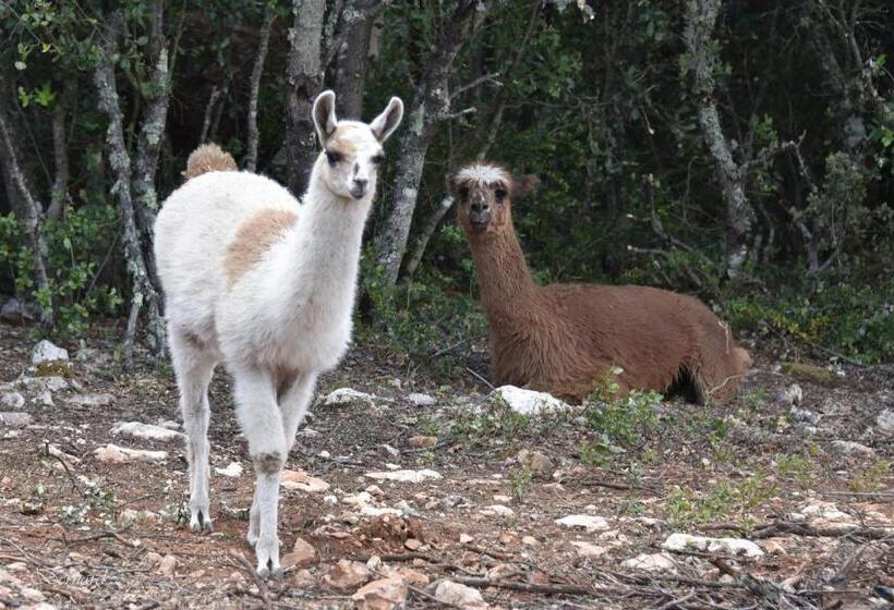 Les Gites Du Parc Animalier De Ginasservis