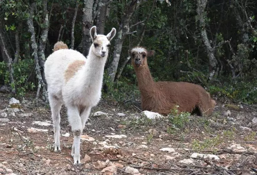 Les Gites Du Parc Animalier De Ginasservis