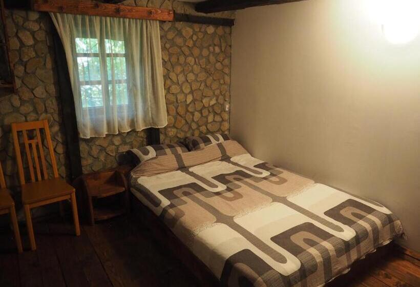 膳宿费 Conacul Muzeul Pietrei