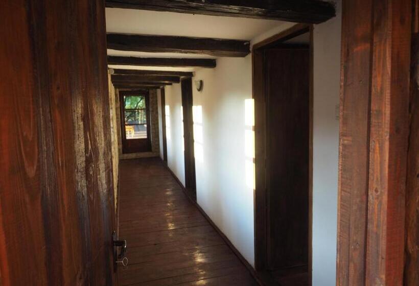 膳宿费 Conacul Muzeul Pietrei