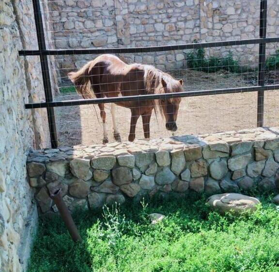 膳宿费 Conacul Muzeul Pietrei