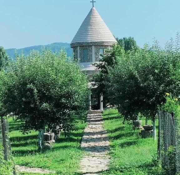 膳宿费 Conacul Muzeul Pietrei