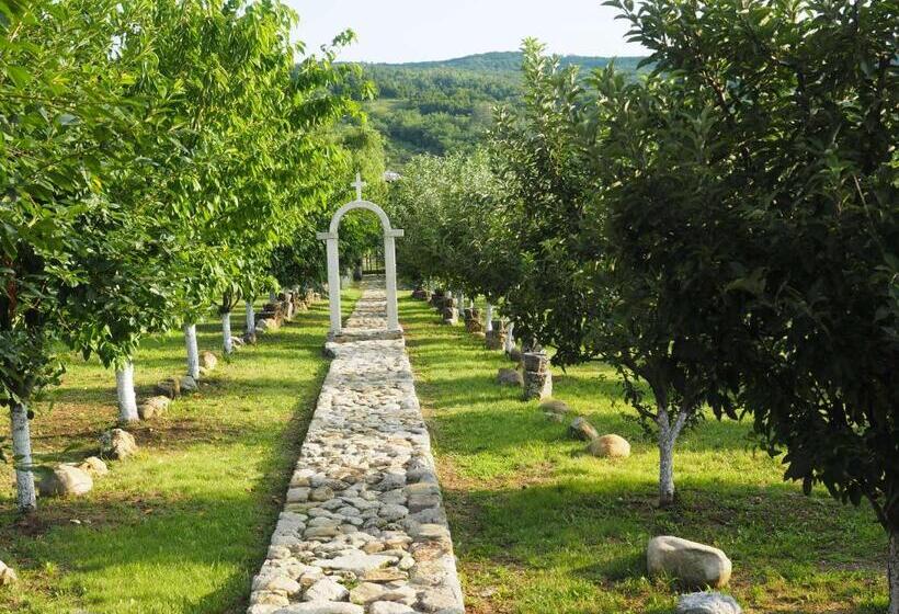 膳宿费 Conacul Muzeul Pietrei