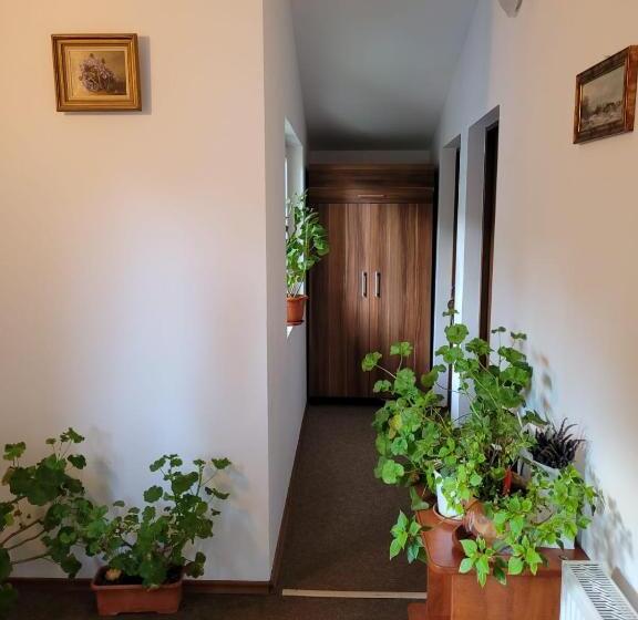 פנסיון Vila Aosta 21