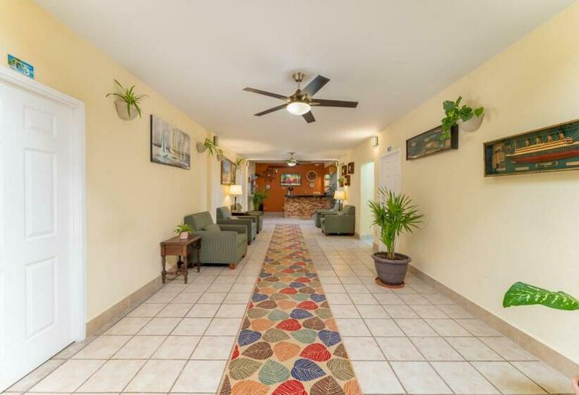 Hotel El Faro Loreto