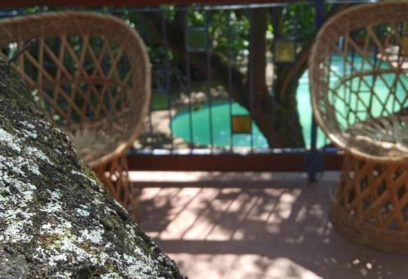 בית מלון כפרי Nelspruit Mhlangeni Guest House