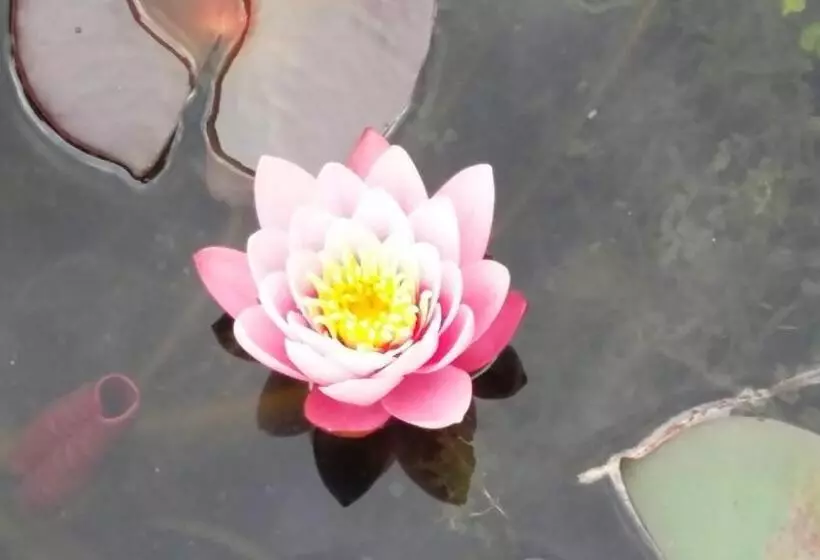 Majatalo Drenthse Groninger Landschap