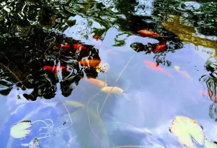 Majatalo Drenthse Groninger Landschap