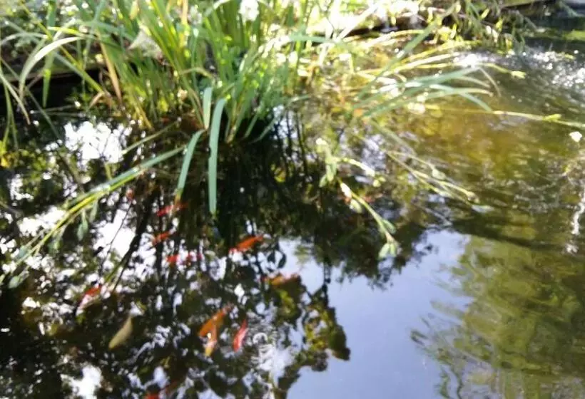 Majatalo Drenthse Groninger Landschap