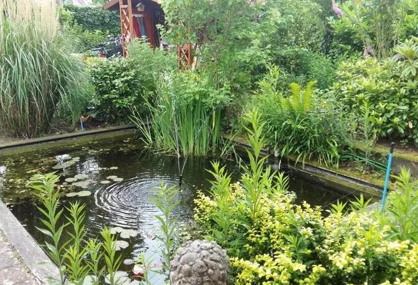 Majatalo Drenthse Groninger Landschap