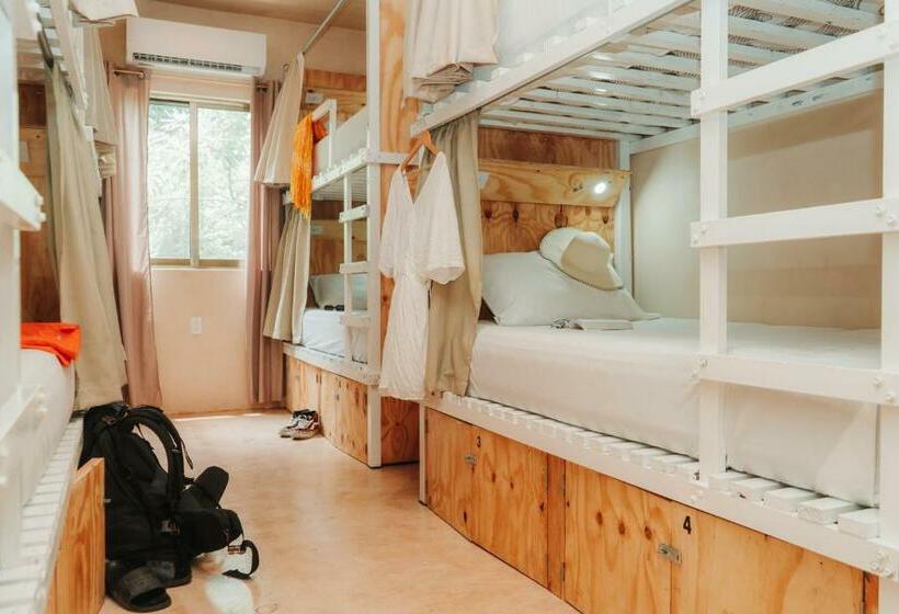 Che Valladolid Hostel & Bar Adults Only