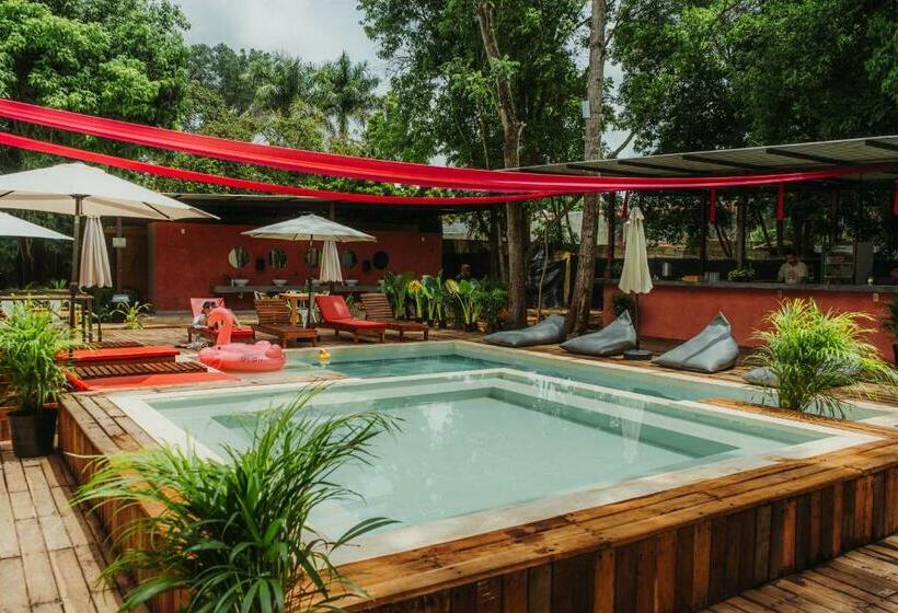 Che Valladolid Hostel & Bar Adults Only