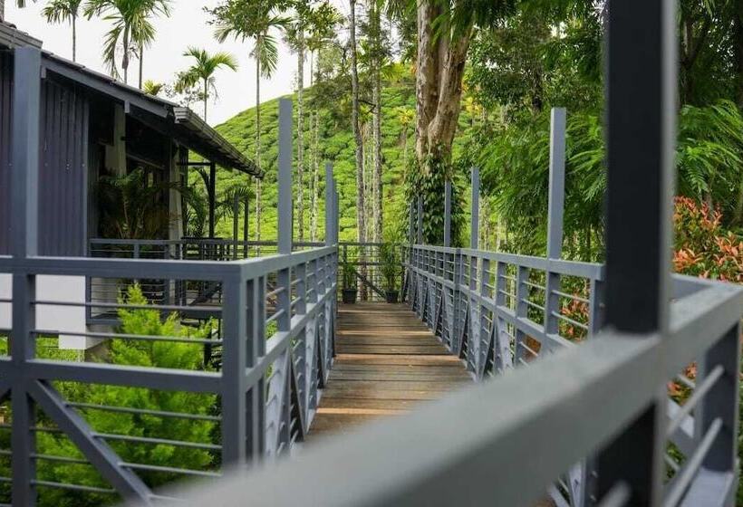 Hotelli B Camp Resorts & Homestays