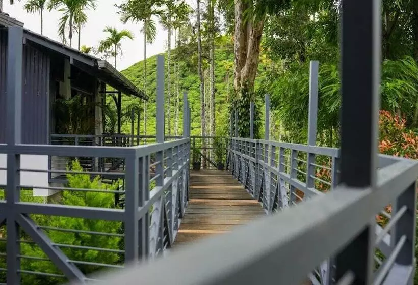 Hotelli B Camp Resorts & Homestays