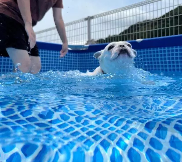 هتل Glamping&port結