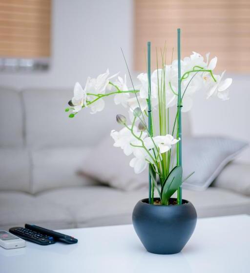 Irofo City Apartments