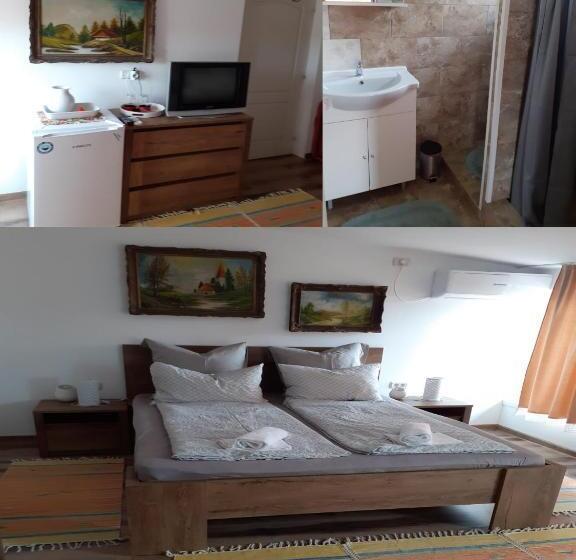 Pensão Vila Georgeta, Camere De închiriat