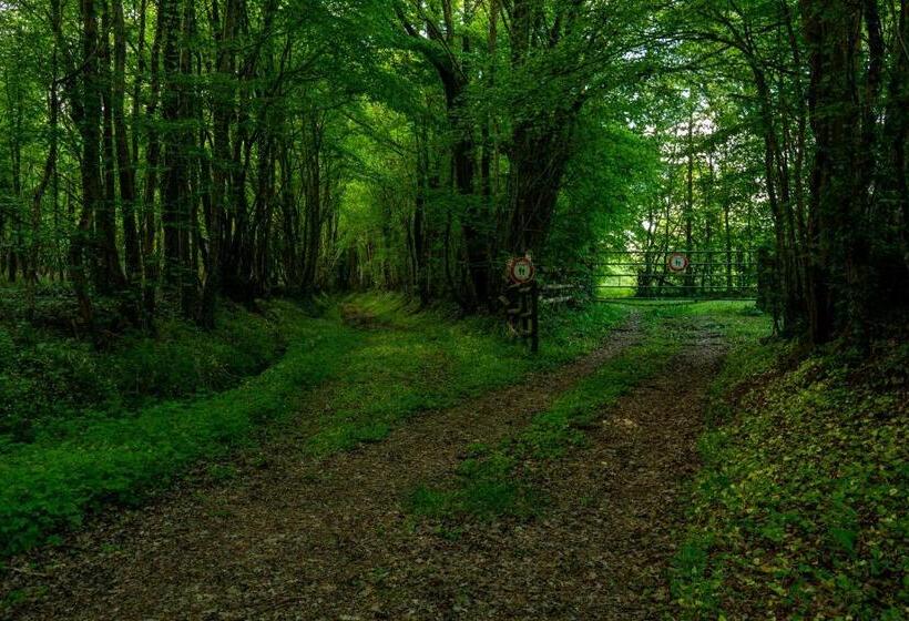 ベッドアンドブレックファースト Moulin De Boiscorde 1h45 De Paris Au Cœur Du Perche